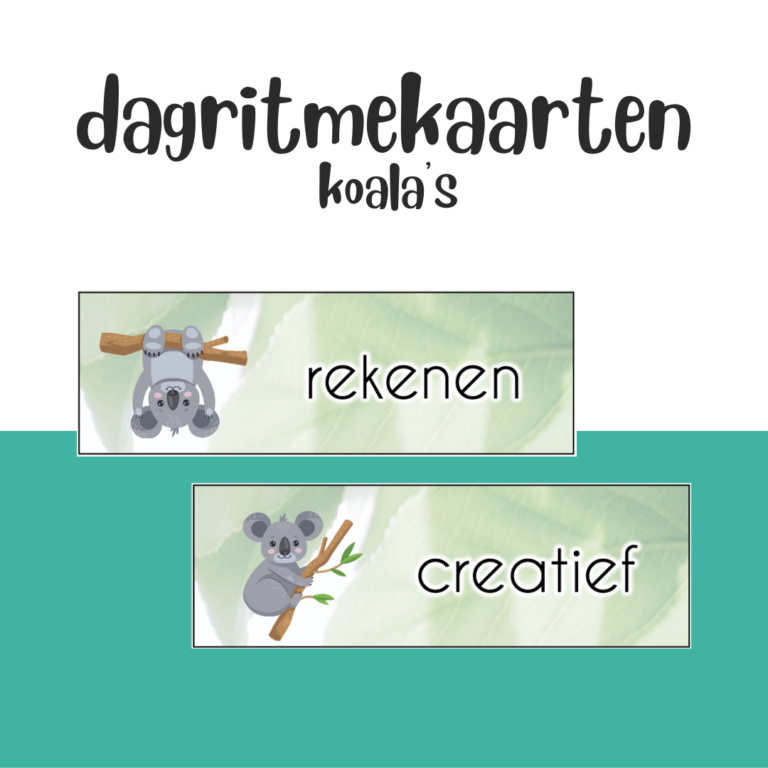 dagritmekaarten-koala-middenbouw-bovenbouw